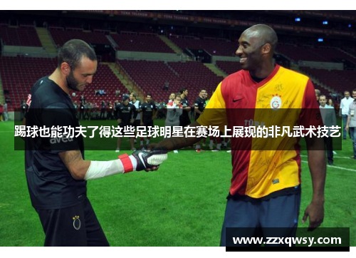 踢球也能功夫了得这些足球明星在赛场上展现的非凡武术技艺